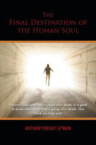 Cover image for The Final Destination of the Human Soul