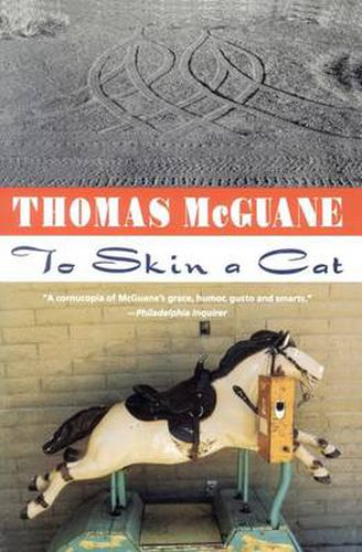 Cover image for To Skin a Cat