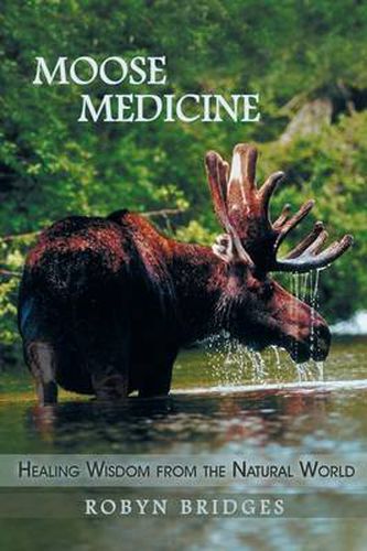 Cover image for Moose Medicine: Healing Wisdom from the Natural World