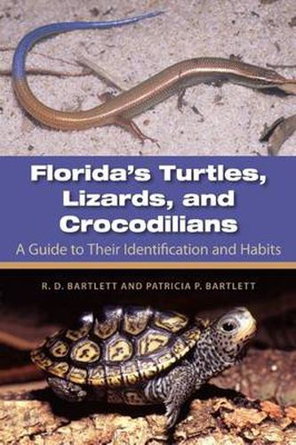 Cover image for Florida's Turtles, Lizards, and Crocodilians: A Guide toTheir Identification and Habits