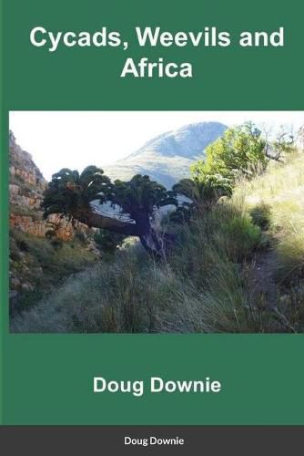 Cover image for Cycads, Weevils, and Africa