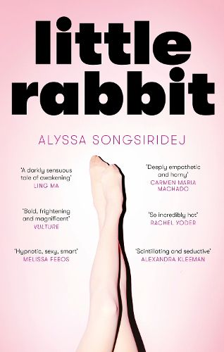 Cover image for Little Rabbit