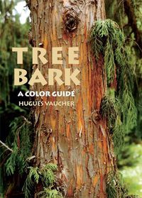 Cover image for Tree Bark: A Color Guide