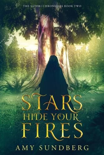 Cover image for Stars, Hide Your Fires