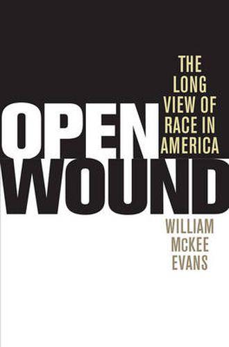 Cover image for Open Wound: The Long View of Race in America