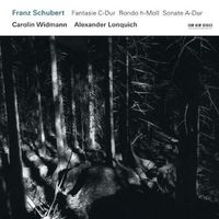 Cover image for Schubert Fantasie D Dur Ronso H Moll Sonate A Dur