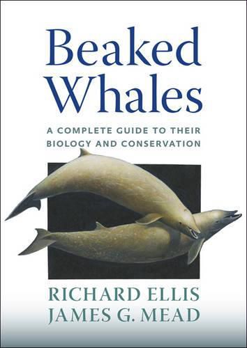 Cover image for Beaked Whales: A Complete Guide to Their Biology and Conservation