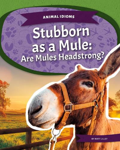 Animal Idioms: Stubborn as a Mule: Are Mules Headstrong?