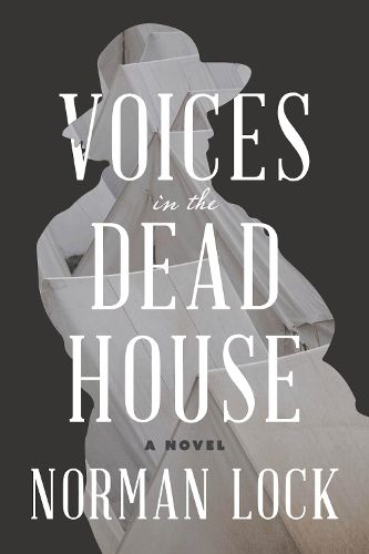 Cover image for Voices in the Dead House