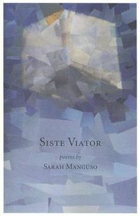 Cover image for Siste Viator