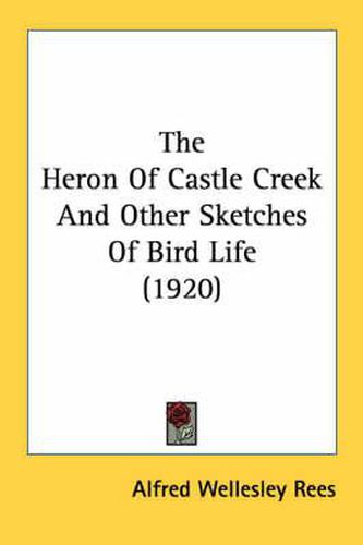 Cover image for The Heron of Castle Creek and Other Sketches of Bird Life (1920)