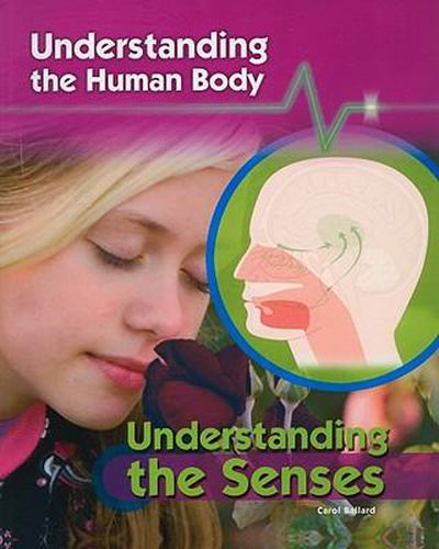 Cover image for Understanding the Senses