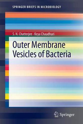 Cover image for Outer Membrane Vesicles of Bacteria