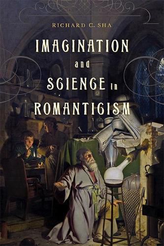 Cover image for Imagination and Science in Romanticism