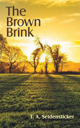 Cover image for The Brown Brink