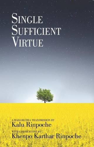 Cover image for Single Sufficient Virtue