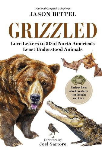 Cover image for Grizzled