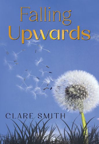 Cover image for Falling Upwards