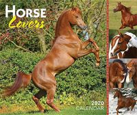 Cover image for Horse Lovers 2020 Day-to-Day Calendar