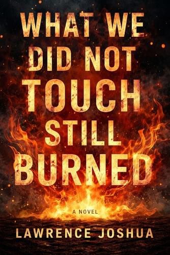 Cover image for What We Did Not Touch Still Burned