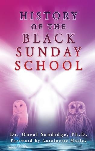 Cover image for History of the Black Sunday School