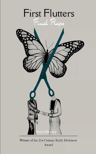 Cover image for Potery collection 369 (Edition1)