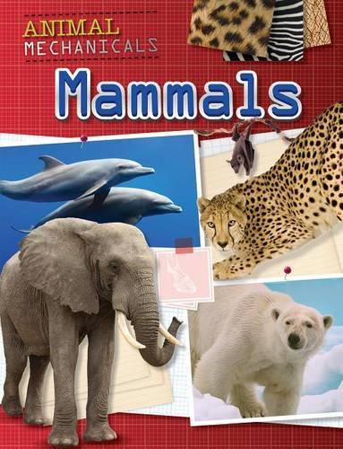 Cover image for Mammals