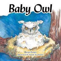 Cover image for Baby Owl