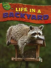 Cover image for Life in a Backyard