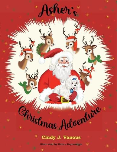 Cover image for Asher's Christmas Adventure