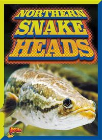 Cover image for Northern Snake Heads