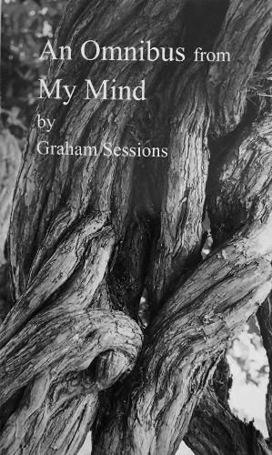 Cover image for An Omnibus from My Mind