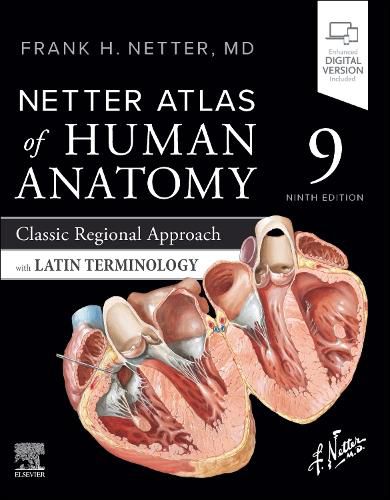 Cover image for Netter Atlas of Human Anatomy: Classic Regional Approach with Latin Terminology