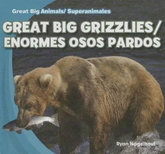 Great Big Grizzlies/Enormes Osos Pardos