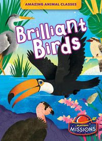 Cover image for Brilliant Birds