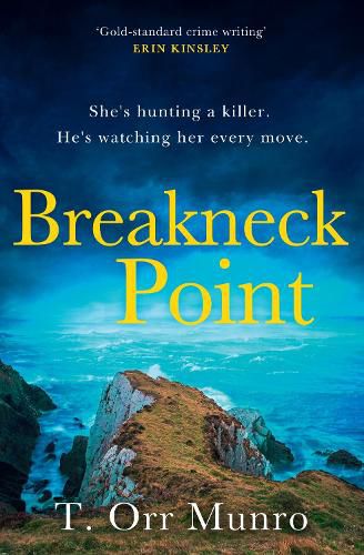 Cover image for Breakneck Point