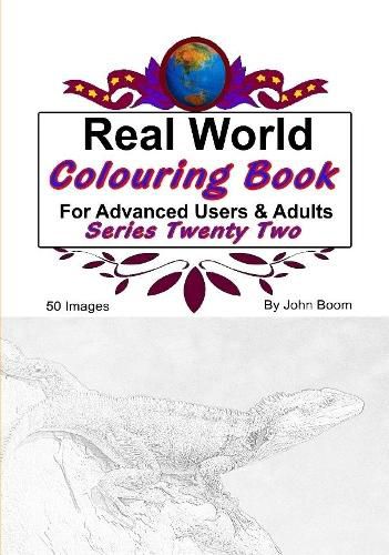 Cover image for Real World Colouring Books Series 22