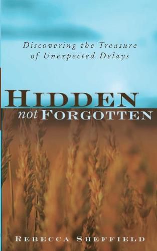 Cover image for Hidden, Not Forgotten: Discovering the Treasure of Unexpected Delays