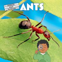 Cover image for Ants