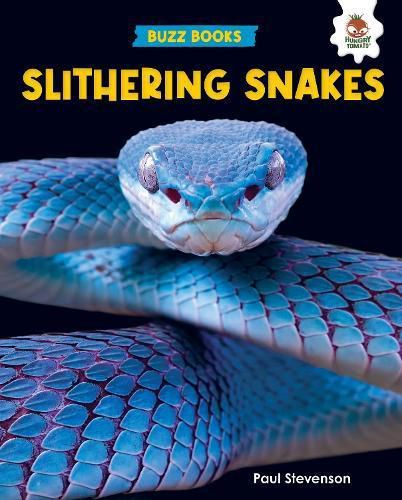 Cover image for Slithering Snakes