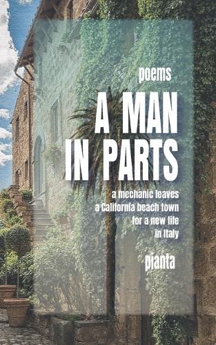 Cover image for A Man in Parts