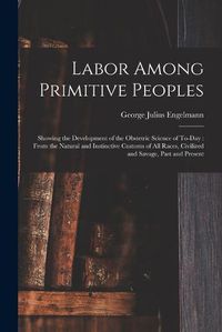 Cover image for Labor Among Primitive Peoples