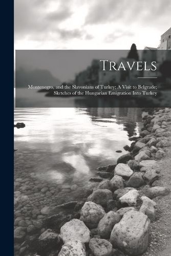 Cover image for Travels