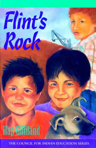 Cover image for Flint's Rock