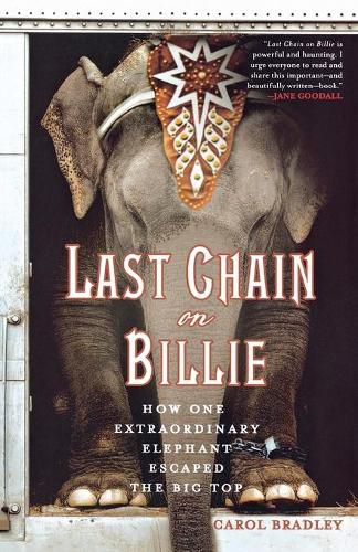 Cover image for Last Chain on Billie