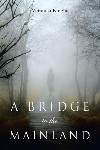 Cover image for A Bridge to the Mainland