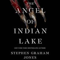 Cover image for The Angel of Indian Lake