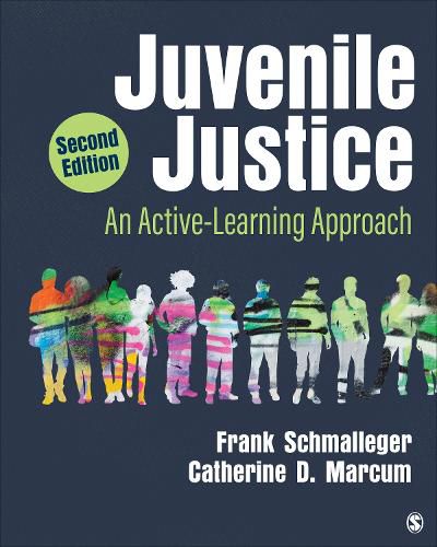 Cover image for Juvenile Justice