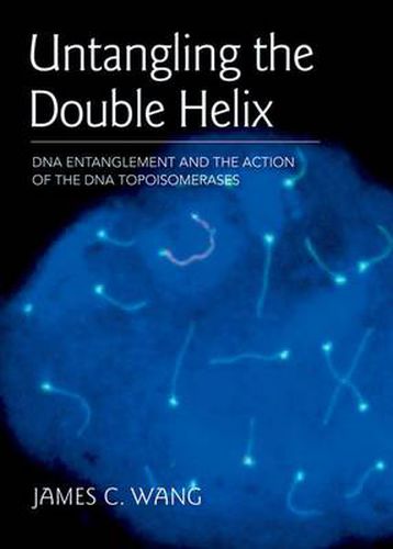 Cover image for Untangling the Double Helix: DNA Entanglement and the Action of the DNA Topoisomerases