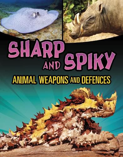 Cover image for Sharp and Spiky Animal Weapons and Defences